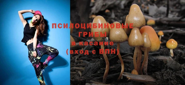 spice Тобольск